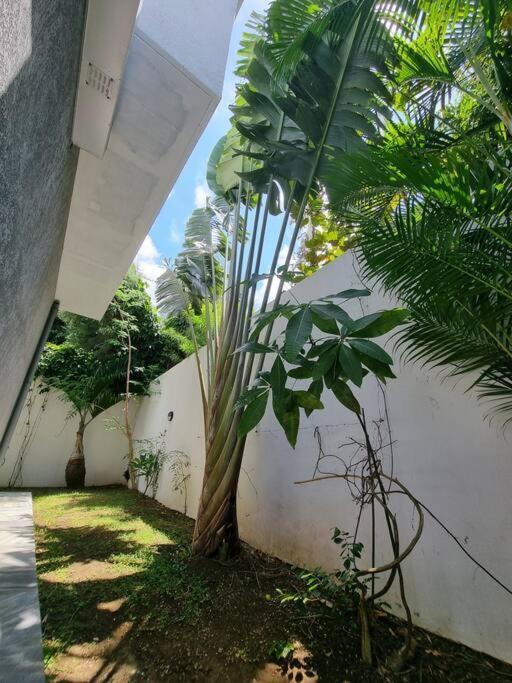 Villa Fleur De Coco - 8P. - Piscine Privee - Haut Standing Saint Pierre Exterior foto